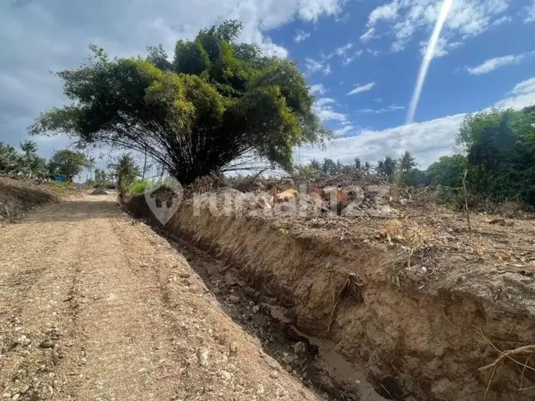 Tanah Global 3.720M² Depan Rs Kasih Ibu Saba Gianyar, Cocok Bangun Villa - Image 3 of 7
