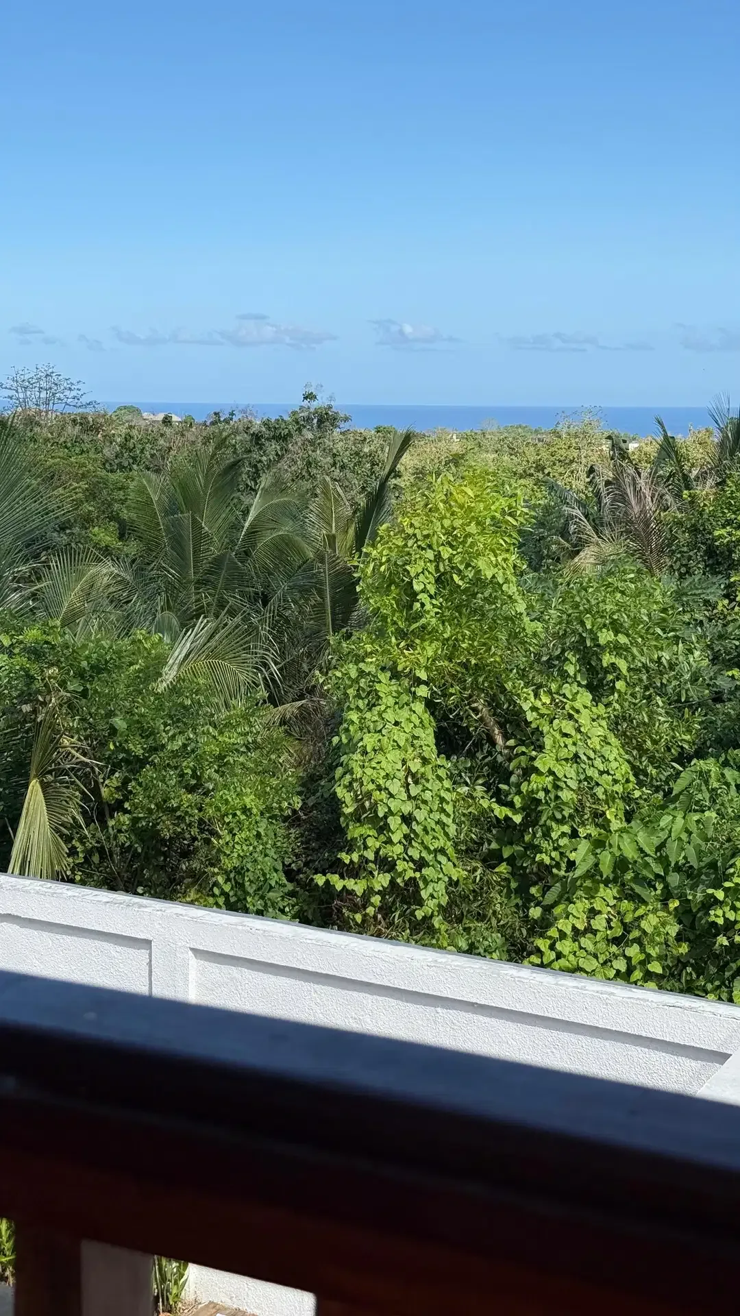Villa Baru 3 Br 2Lt Ocean View Tropical Modern Style Ungasan Bali - Image 3 of 10
