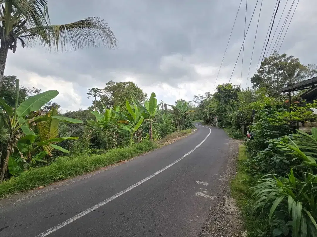 Dijual tanah kebun kopi produktif dengan view lembah di bali - Image 9 of 10