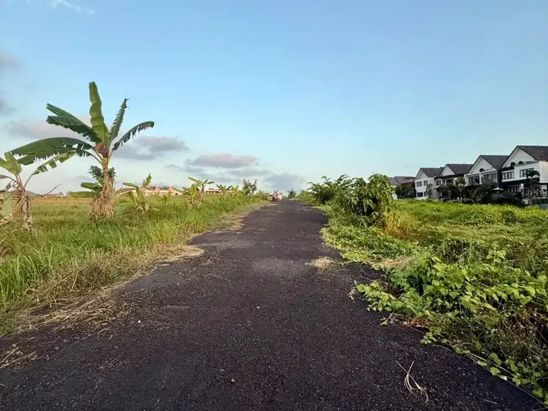 TANAH PREMIUM DI CEMAGI MENGWI BADUNG DEKAT PANTAI - Image 8 of 10