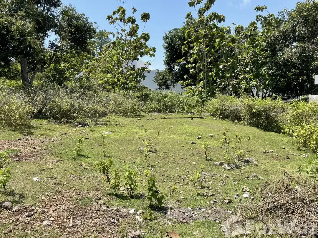 Land for sale in Balangan, Bali - Image 4 of 6
