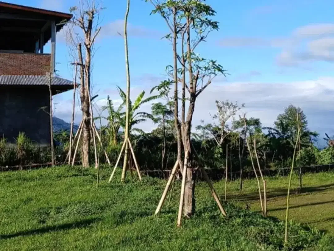 LAND FOR SALE
DANAU TAMBLINGAN – MUNDUK - Image 4 of 10