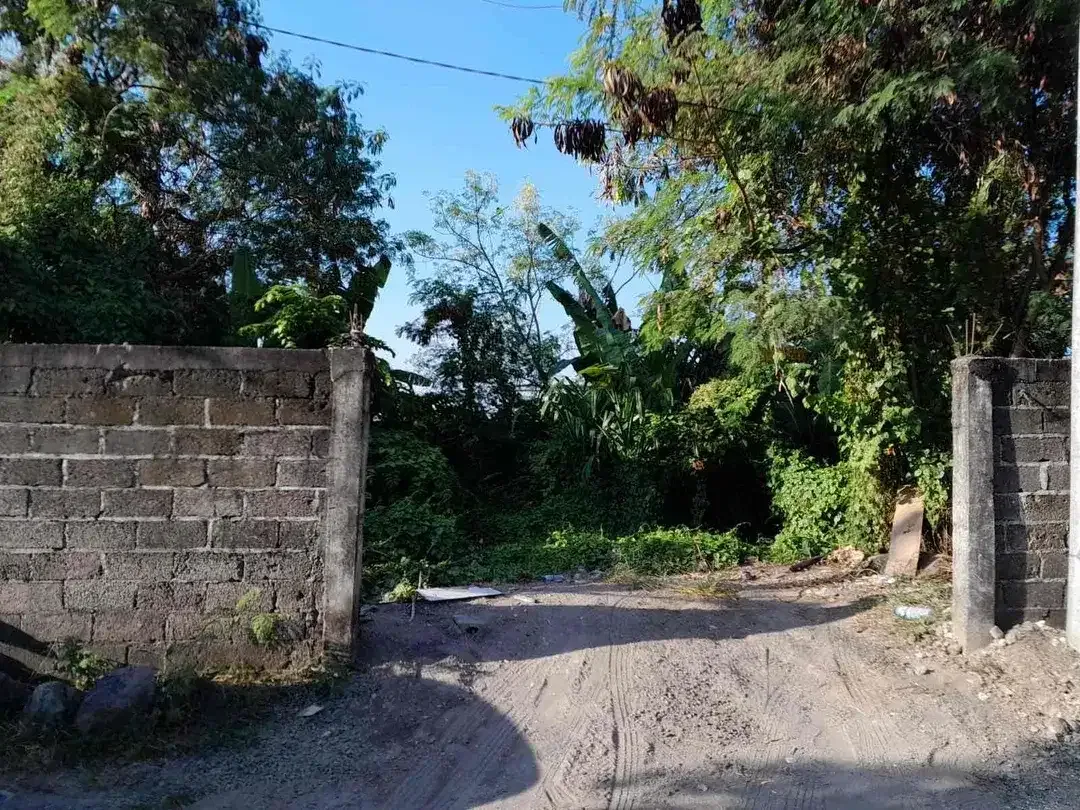 Tanah kosong siap bangun kawasan villa lokasi Padonan - Image 3 of 5