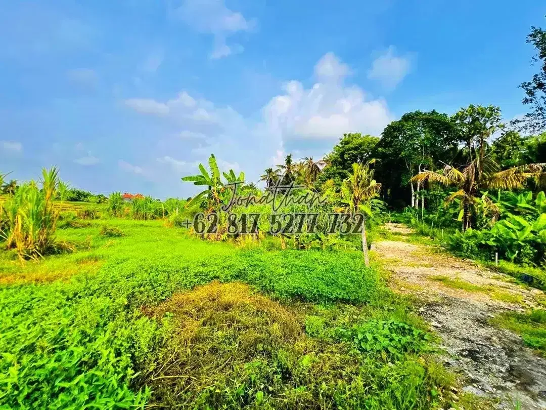 Dijual Tanah View Sawah Zona Wisata di Pantai Nyanyi Tabanan Bali - LSADT - Image 7 of 10