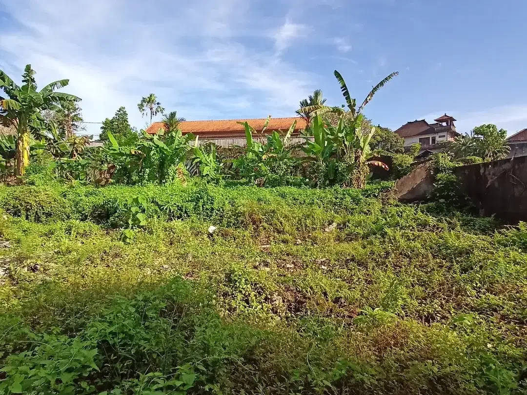 Freehold - Riverside Land for Sale in Prime Canggu, Bali Location - Image 2 of 8