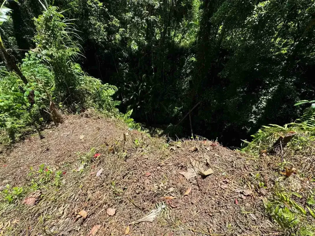 Siap Bangun Vila, Tanah Datar View Sawah di Ubud Gianyar - Image 4 of 10
