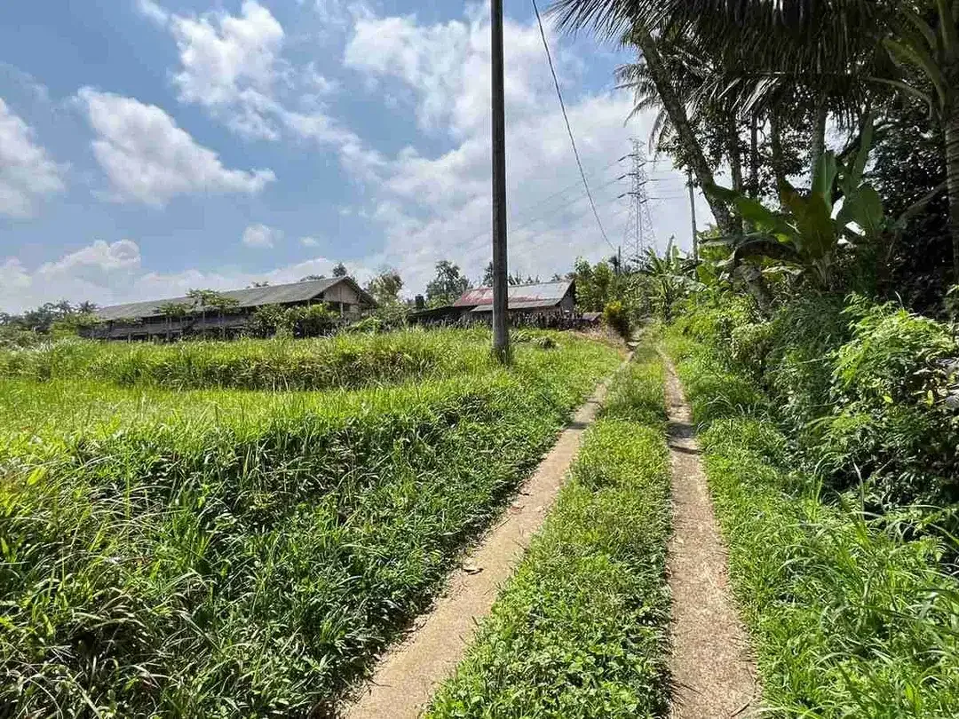 jual tanah flat datar di tabanan bali. - Image 3 of 10