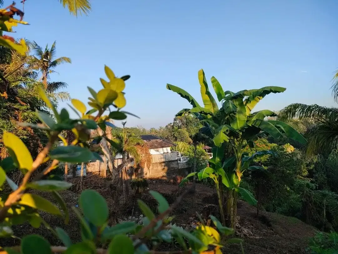 TANAH LOS SUNGAI JUNGLE VIEW DEKAT GREEN SCHOOL ARAH UBUD BALI - Image 10 of 10