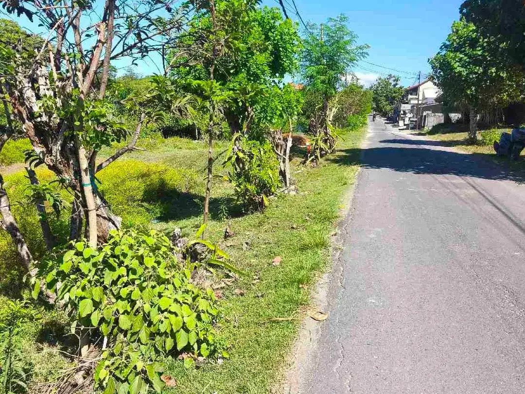 dijual tanah 5,44 are IDR 600 juta per are kawasan pantai gunung payung Pandawa beach Kutuh Badung Bali - Image 7 of 9