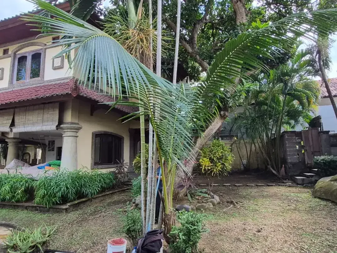 Freehold - Authentic Bali Architecture Villa in Umalas - Spacious Property with Pool, Bali - Image 2 of 10