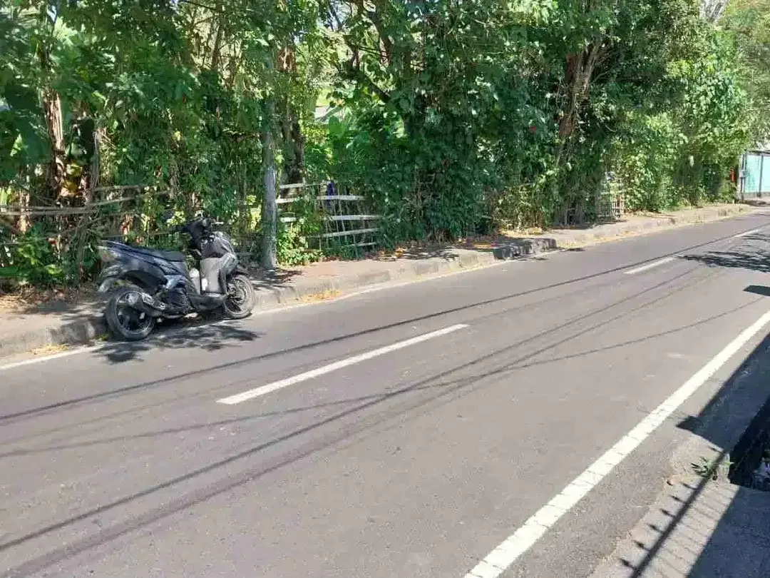 Tanah 75 Are untuk Bisnis Pariwisata di Area Kedonganan Jimbaran, jalan kaki ke Pantai - Image 9 of 10