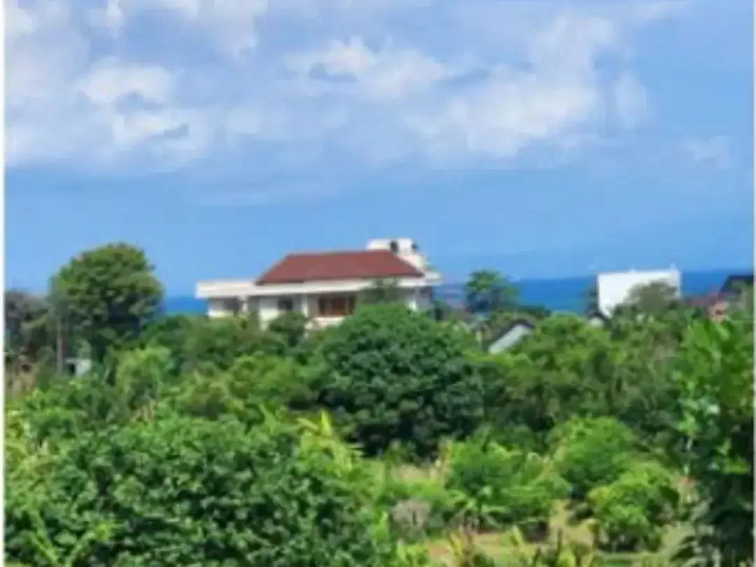 Tanah Sewa Murah Dekat Pantai Sanur - Image 2 of 10
