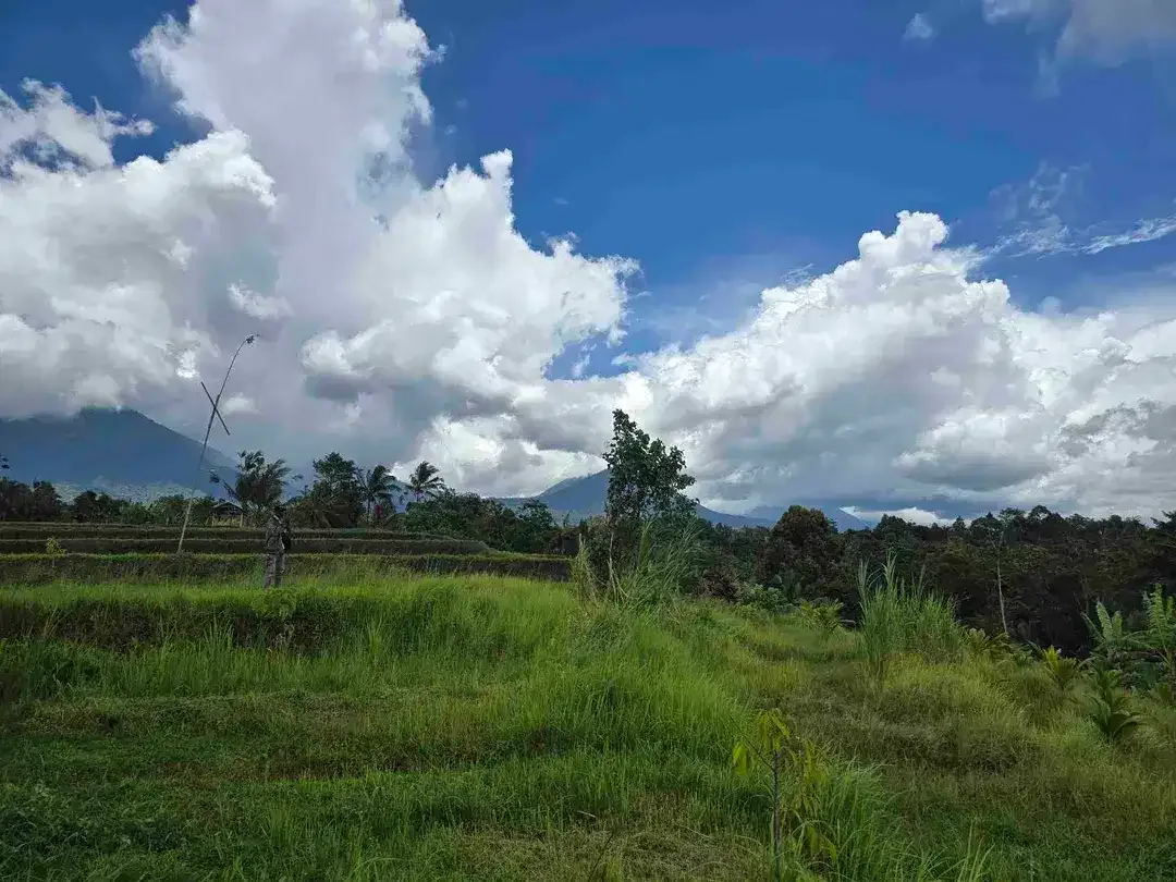 Dijual tanah view sawah dan gunung laut di bali - Image 5 of 10
