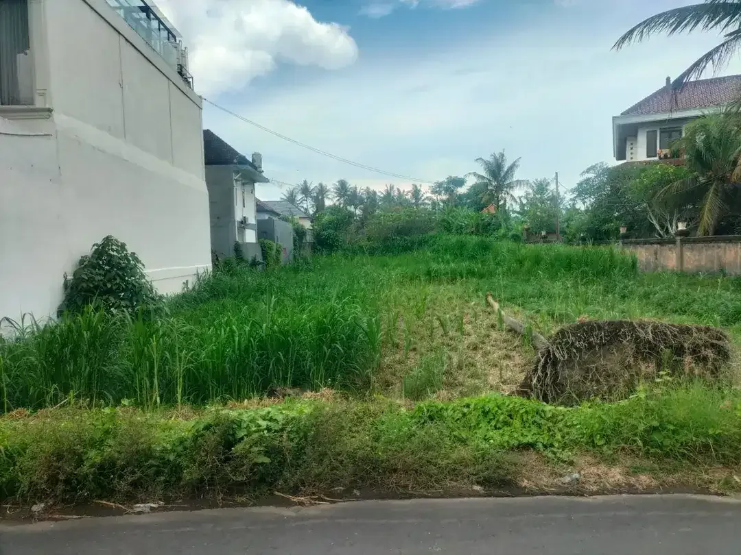 BUC 10 Are Pinggir Jalan Utama Pering Gianyar Bali - Image 6 of 6