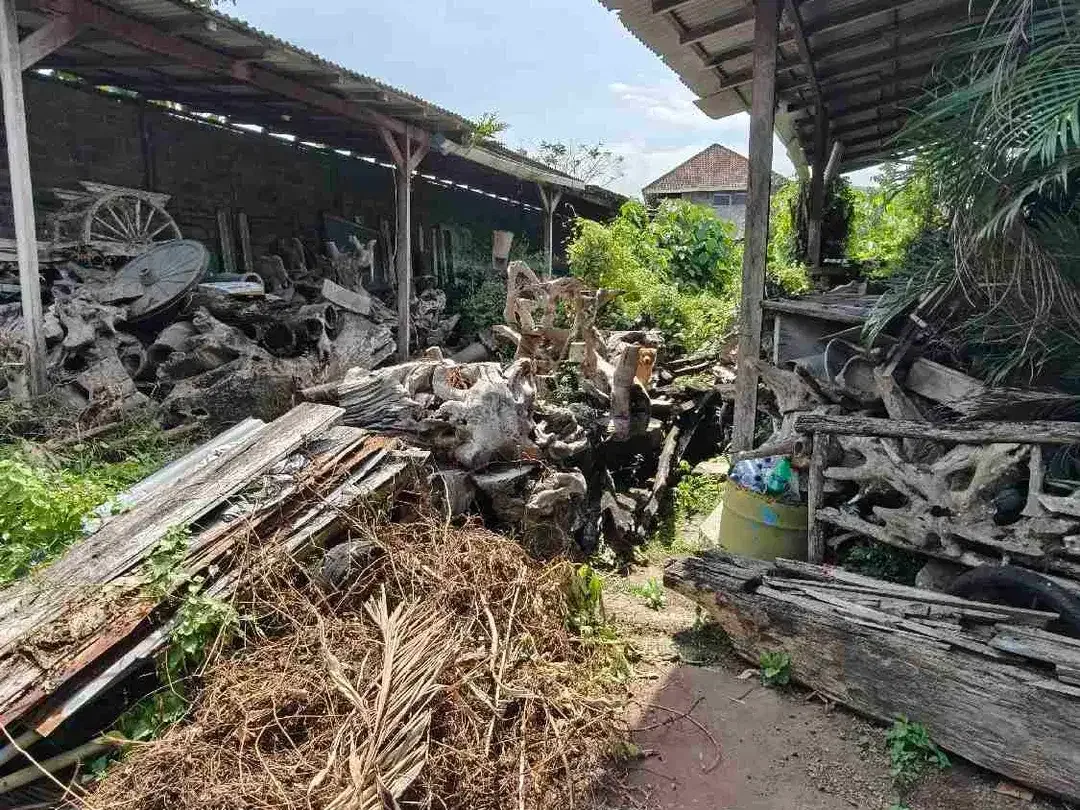 Lahan Langka plot kecil zona Kuning gg nangka kerobokan area nyaman strategis bebas banjir - Image 3 of 6
