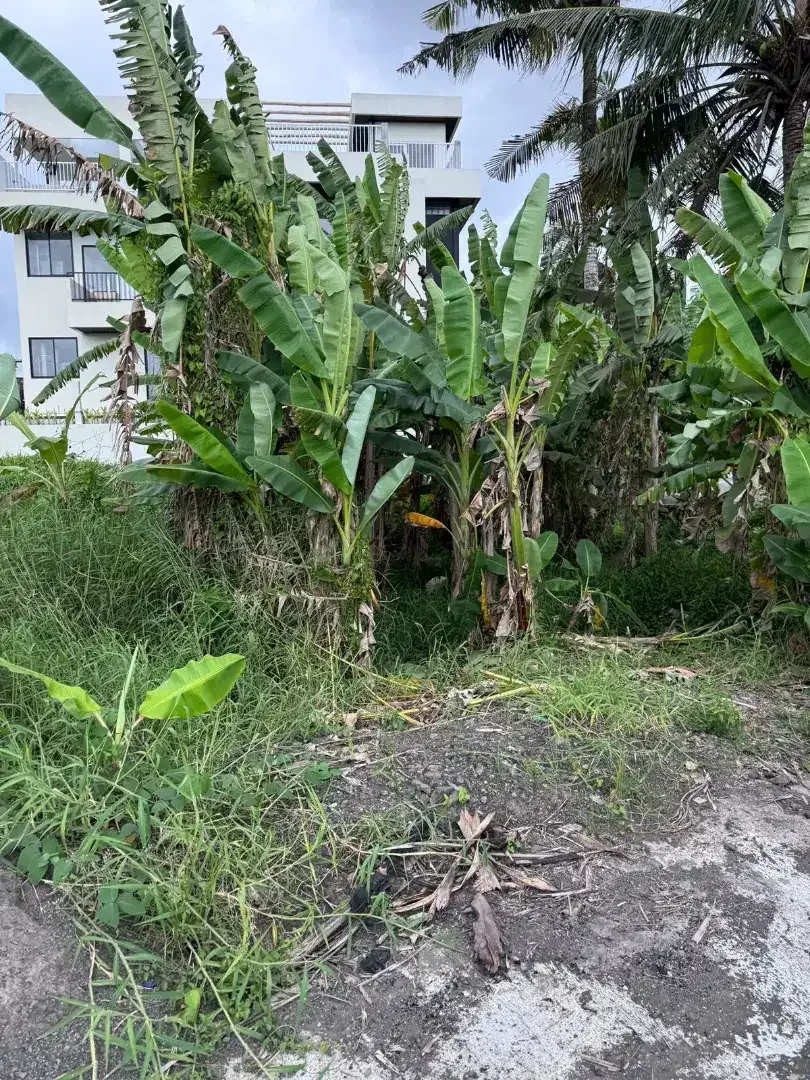 25mnit to Canggu Kedungu Beach - Image 2 of 6