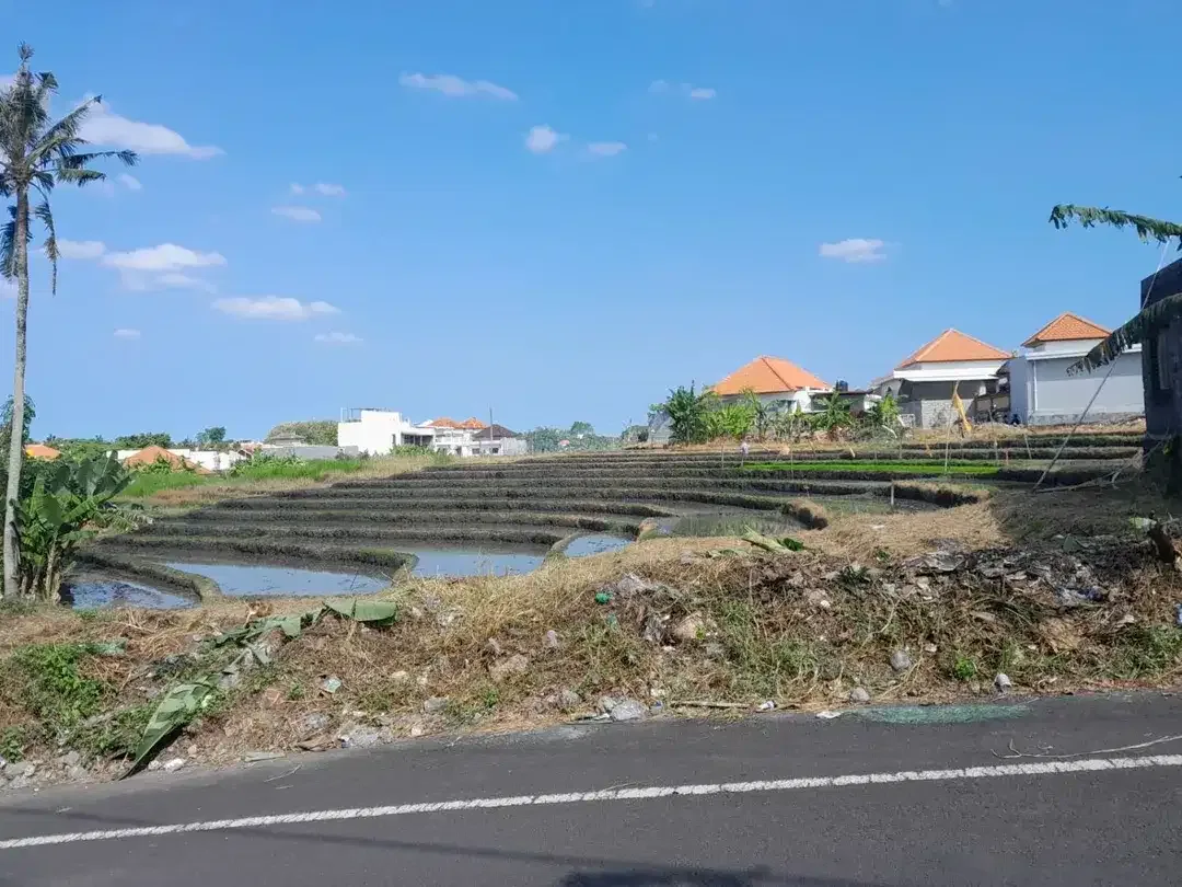 Tanah View Sawah Kayu Tulang Utara Canggu Bali - Image 4 of 10
