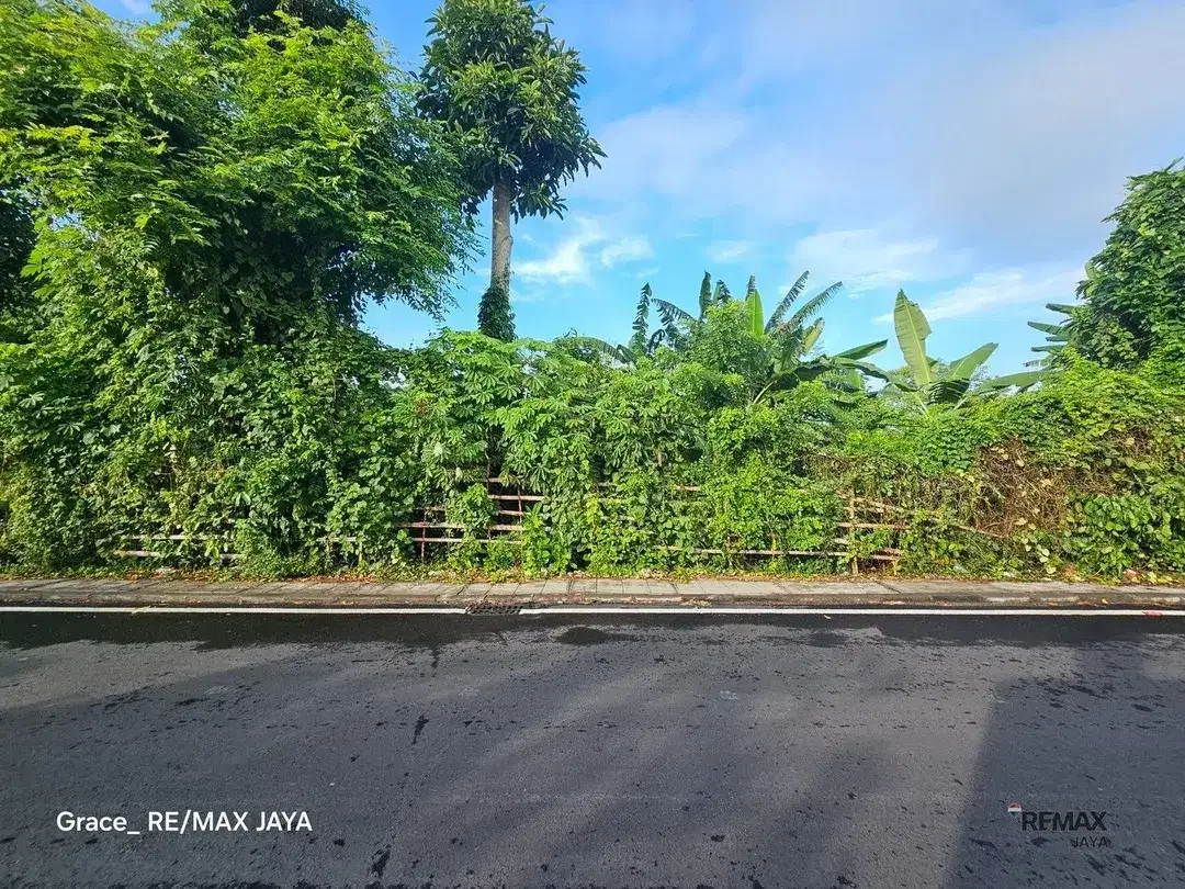 Tanah 75,20 Are Zona Pariwisata Disewakan, di Kedonganan jimbaran - Image 1 of 6