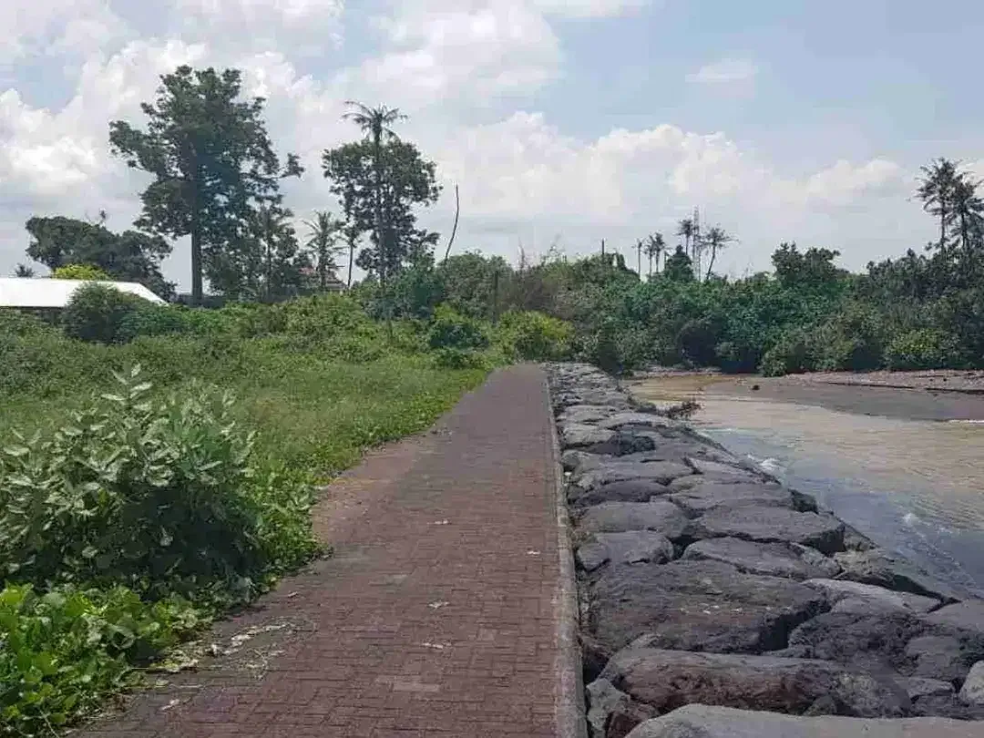Tanah Murah Los Pantai Ketewel 1975m2 SHM - Image 8 of 10