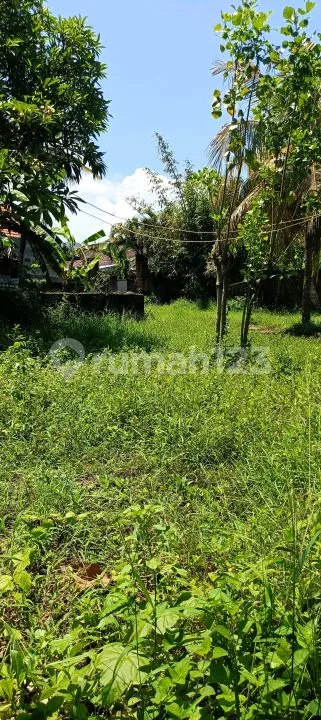 For Sale 10 Are Land Just 4 Minute To The Central And Beach In Lovina Bali - Image 4 of 4