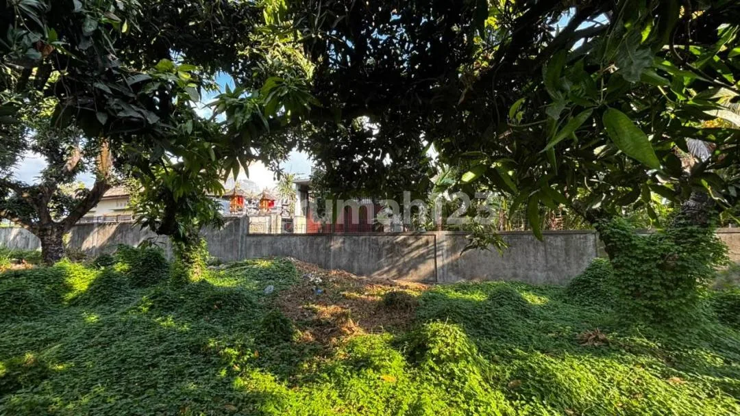 Dijual Cepat Tanah Kondisi Sudah Padat Siap Bangun di Singaraja - Image 2 of 4