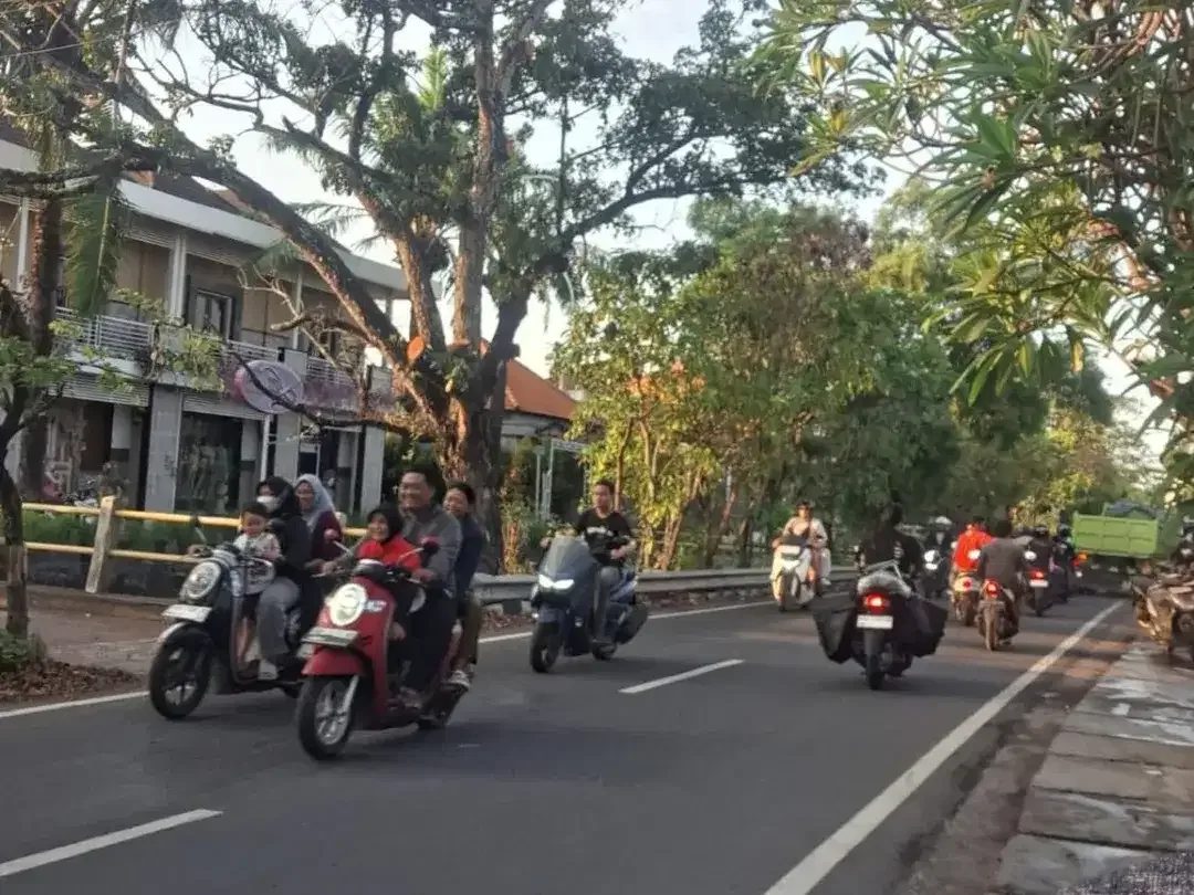 Tanah 4 Are Di Kerta Dalem Sidakarya Dekat Renon Sanur Panjer Sesetan Bypass Ngurah Rai - Image 3 of 6