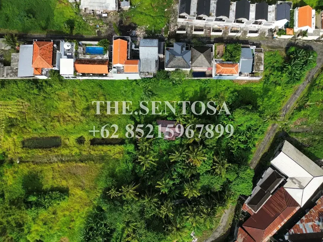 LAND FOR LEASE NYANYI NUANU LUNA BEACH CLUB - Image 4 of 10
