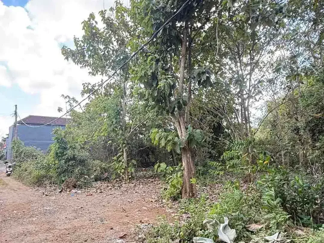 DIJUAL TANAH 2 MENIT KE KAMPUS UNUD JIMBARAN – COCOK UNTUK KOS & GUESTHOUSE - Image 2 of 10