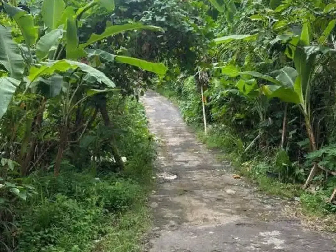 DIJUAL TANAH BELIMBING SARI PECATU BADUNG - Image 3 of 5