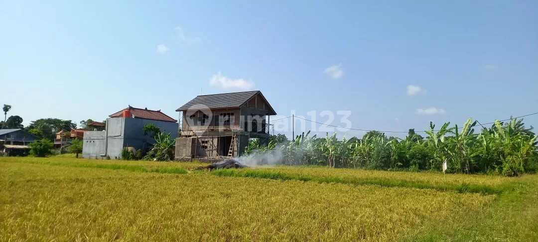 Tanah Kedungu View Sawah Dekat Pantai - Image 2 of 4