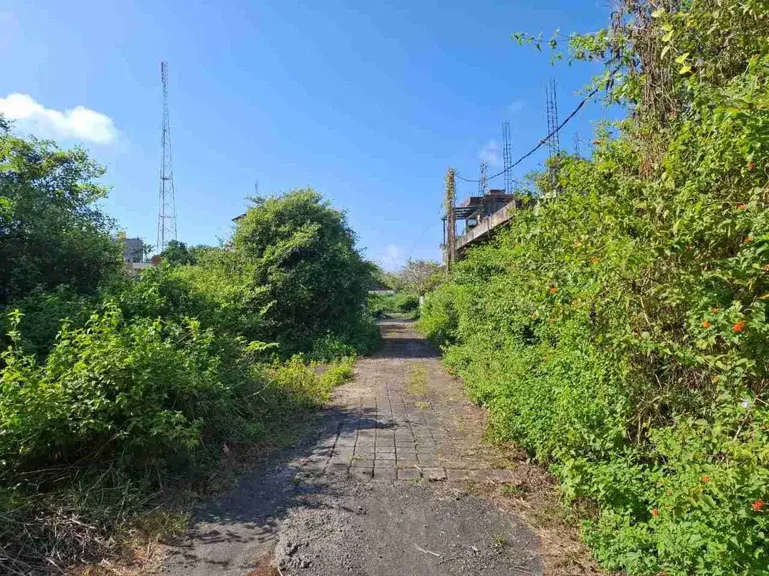 Jual Cepat Tanah Luas 1 are/100m2 Zona Kuning area Kutuh Kuta selatan. area Investasi - Image 2 of 6