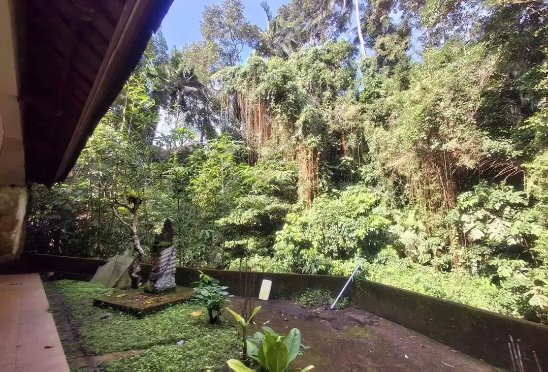 Villa Murah Los Sungai View Lembah Dekat Central Ubud di Jalan Suweta - Image 7 of 7