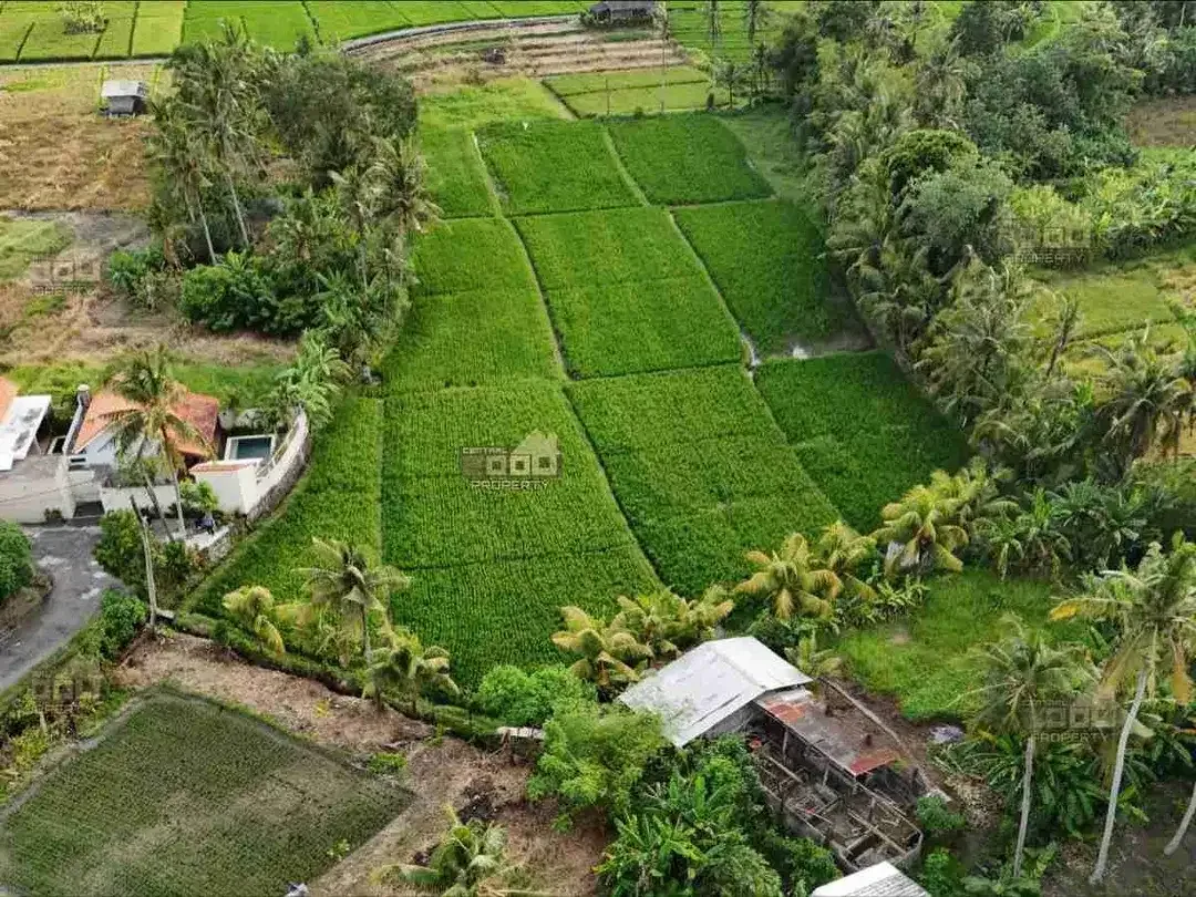 New Project Tanah Kavling Pantai Nyanyi, Bali - Image 4 of 8