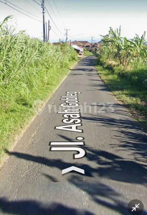 Perfect Investment Tamblingan Lake View And Natural Landscape Munduk Wanagiri - Image 4 of 4