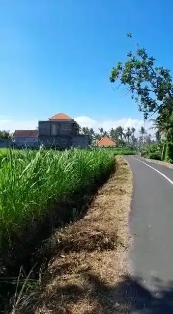 Tanah Murah Permata Pering Blahbatuh Gianyar Dekat Pantai Saba Ketewel - Image 4 of 10