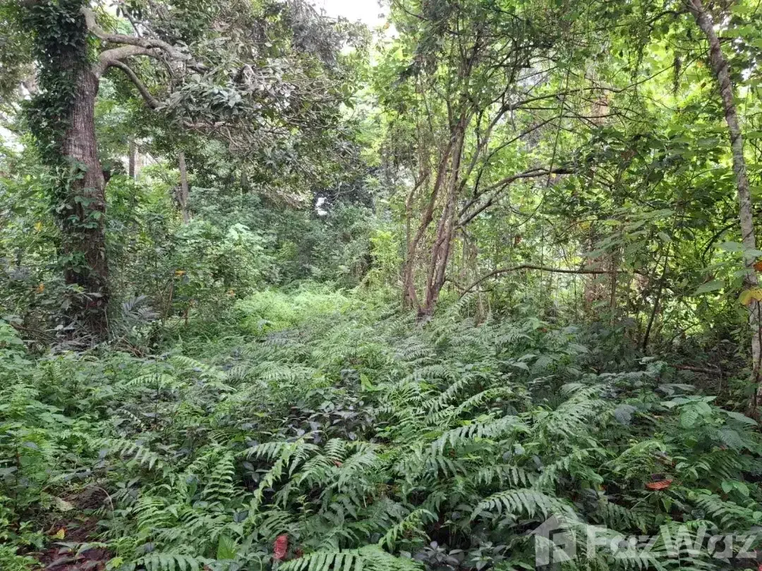 Land for sale in Ubud, Bali - Image 8 of 10