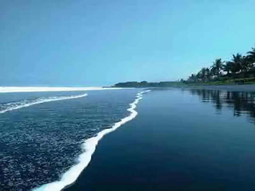 Dijual Tanah Kavling Villa dekat Pantai Kelating Kerambitan Tabanan - Image 10 of 10