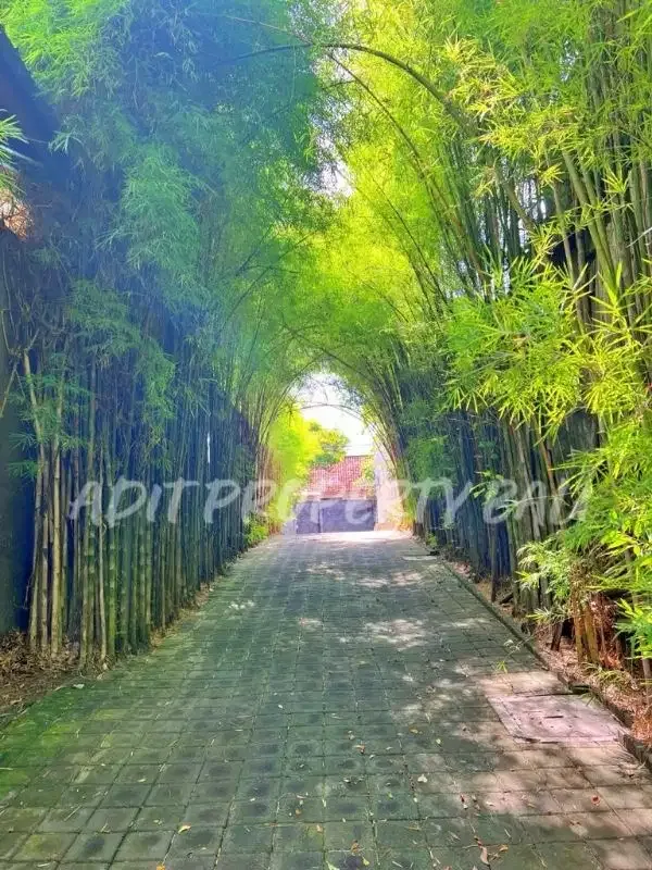 Villa Luxury View Sawah Berawa Canggu Badung Bali - Image 3 of 10