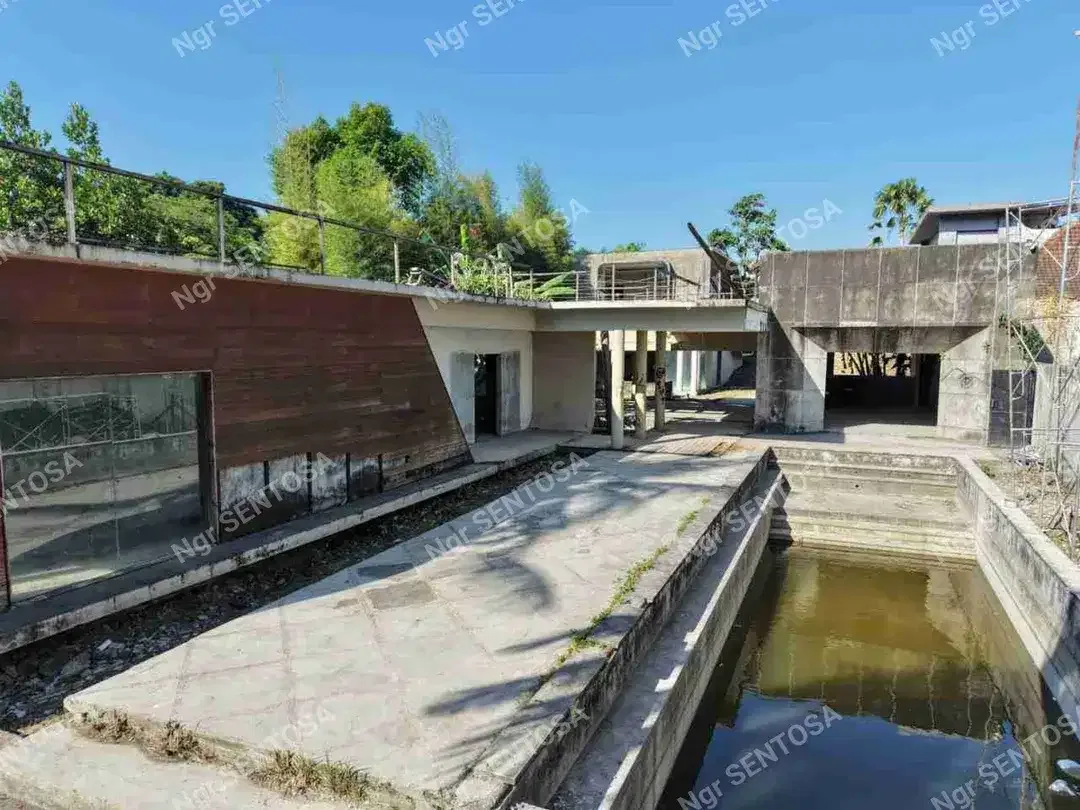 Tanah Canggu Berawa dekat pantai bonus bangunan - Image 10 of 10