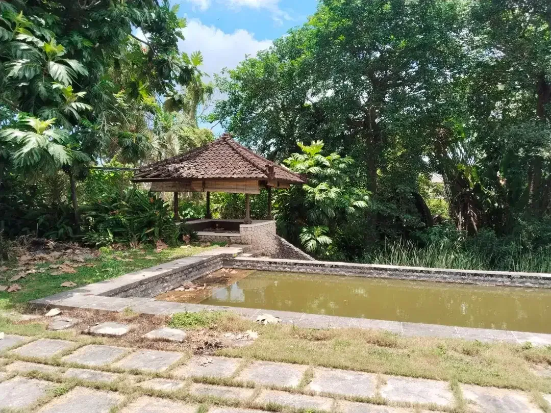 TANAH PREMIUM DI BATU MEJAN CANGGU BALI - Image 7 of 10