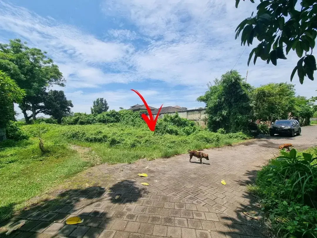 PREMIUM LAND FOR SALE IN KETEWEL, GIANYAR – OCEAN VIEW & TOURISM ZONING - Image 5 of 6
