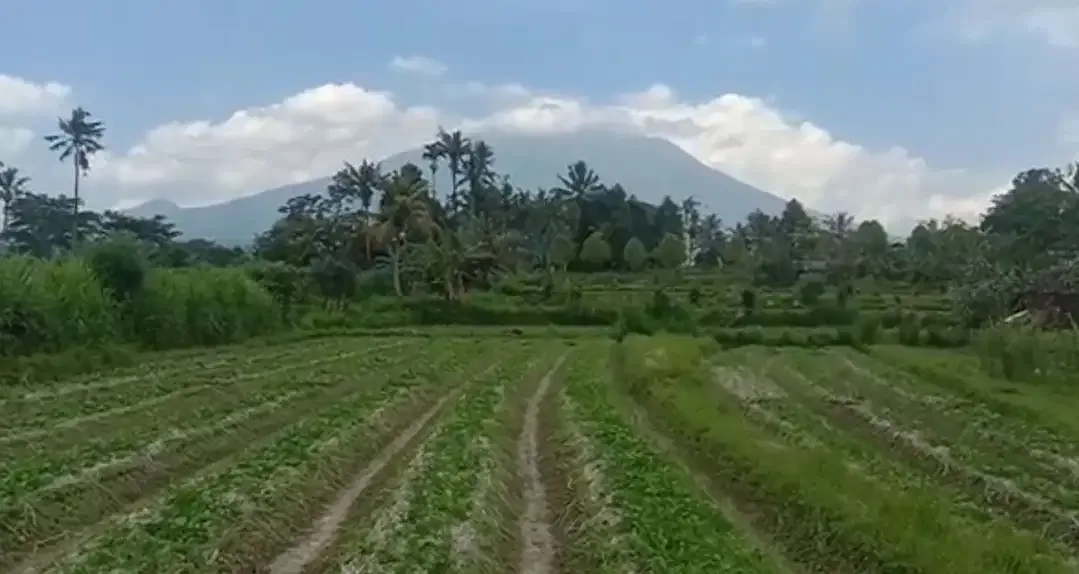 Land 36a for Sale close to Sidemen Traditional Village Bali - Image 3 of 10