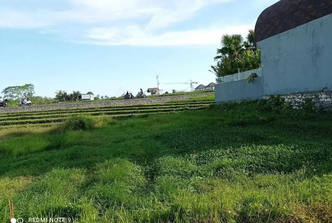 Tanah View Sawah Terasering Dekat Pantai Berawa Canggu - Image 4 of 10