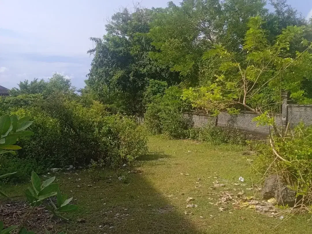Tanah Kavling di Kampial Dharmawangsa Dijual - Image 7 of 10