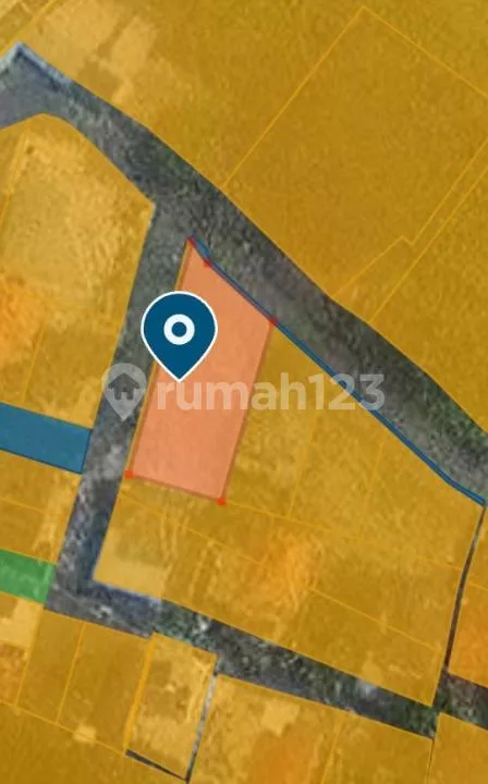 Dijual Tanah Zona Kuning - Cepaka, Munggu - Image 3 of 4