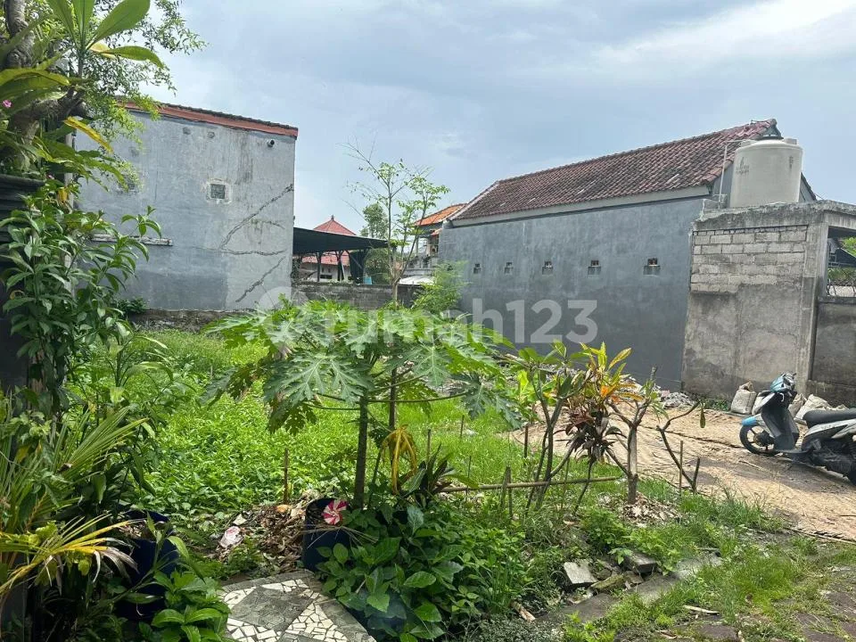 Tanah Kotak Siap Bangun Zona Kuning Strategis Dekat Canggu Brawa - Image 1 of 4