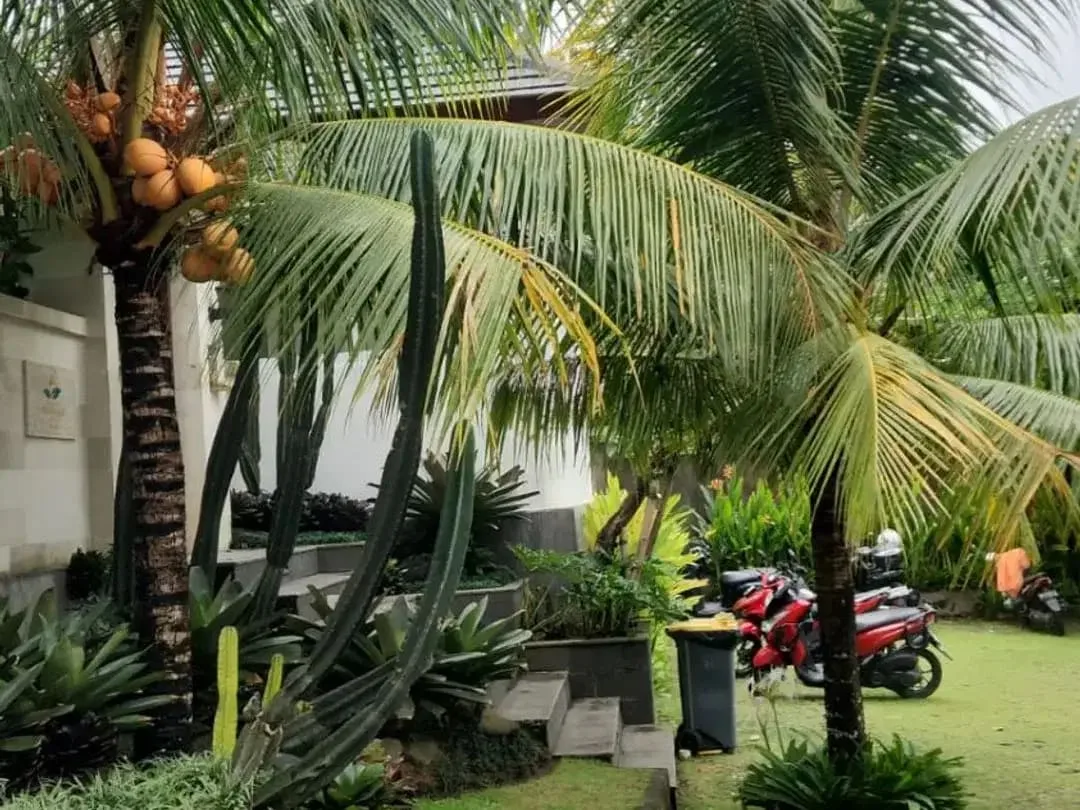 Dijual Rumah Minimalis Nyaman di Ungasan - Dekat Jimbaran dan Uluwatu Dengan Akses Mudah - Image 2 of 9