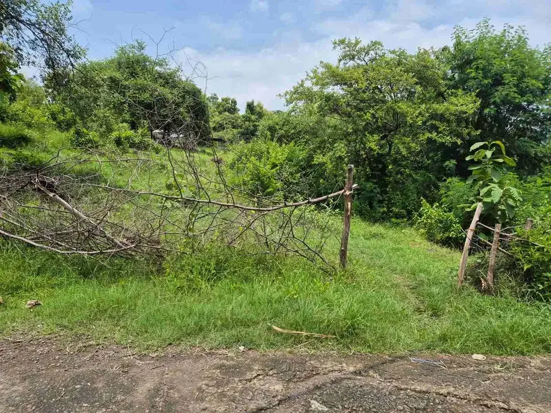 9350 M2 FREEHOLD LAND FOR SALE IN PANGKUNG PARUK SERIRIT BULELENG NORTH BALI - Image 7 of 10
