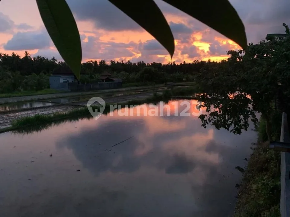 For Sale Or Lease Modern  Villa With Fantastic  View - Image 3 of 4