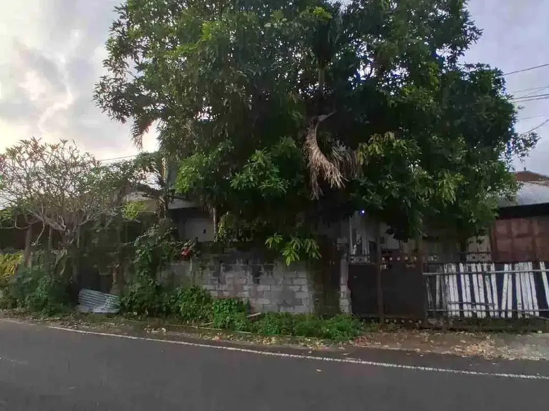 DISEWAKAN RUMAH DEKAT TIARA GATSU DENPASAR - Image 4 of 4